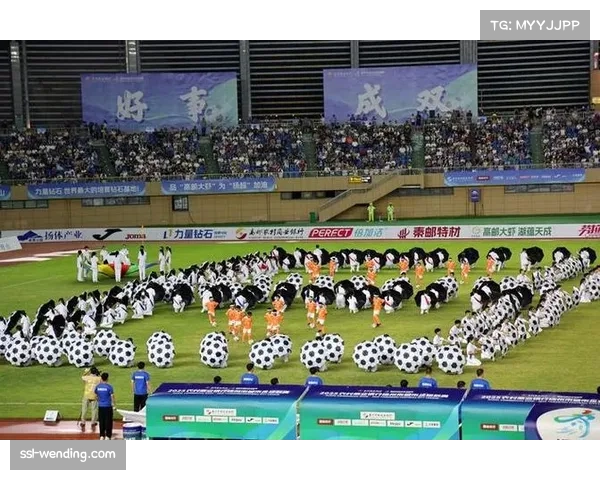 校园足球赛事与旅游融合打造城市新魅力助力地方品牌建设